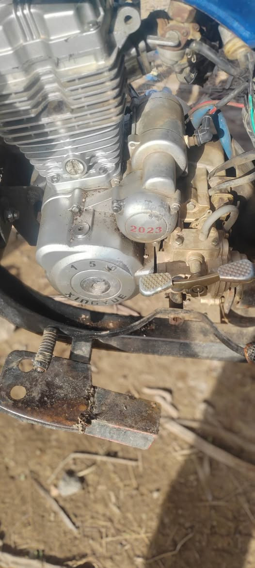 ستوته البيع موديل ١٦ صقر بتره مكينه ٢٣ ستوته مثل لي بصوره حلوه وجديده ورقه ضايعه سعر ٨٥٠ وبيه مجال لطيبين مكاني دوانيه ولمو شراي رجان رجان لا يعلق شراي يجي خاص او يتصل بيه وبي خير و يدالل ***********
