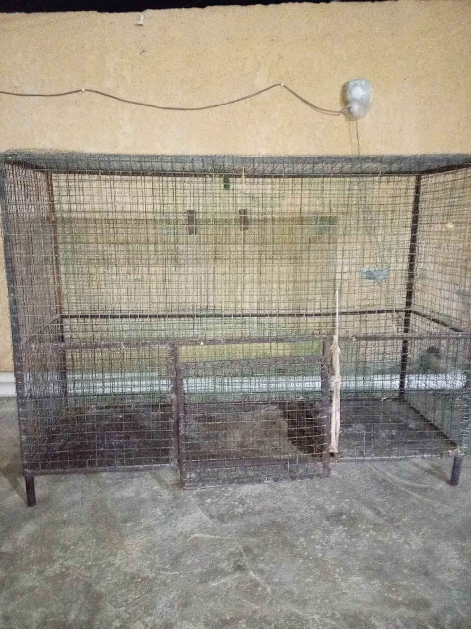 قفص للبيع ارتفاع متر والطول متر ونص العنوان زويريجات شارع بيت صبر سعره ٧٠ وبي مجال


**إذا كنت صاحب هذا الإعلان وتريد حذفه لأي سبب، رجاءا أرسل رسالة إلى الدعم الفني**