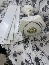 مراوح • مع كدور