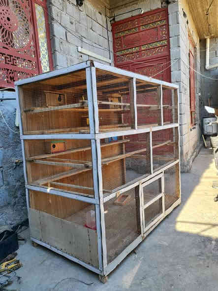 السلام عليكم قفص للبيع احطاطه نضيف سعره 80 وبي مجال قليل مكانه فلوجه ***********
