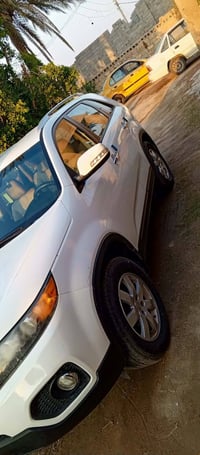 ٢٠١٣ • خليجي • بدون صبغ