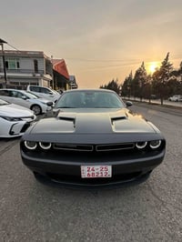 تشالنجر SXT • بدون صبغ • نينوى