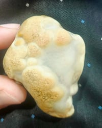 زوعه حيه • للبيع • قييم • واخذ • غريب • نادر