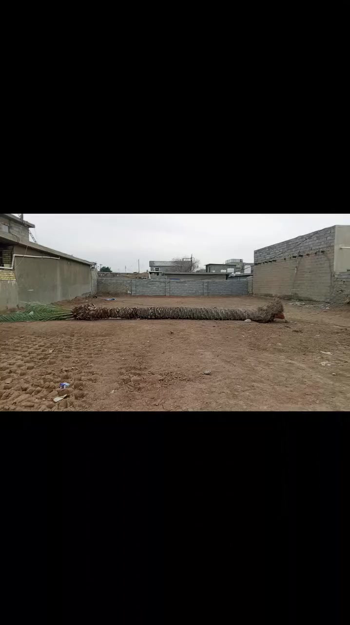 ارض في منطقه قريه عشره كافه الخدمات موجوده سعر خاص التواصل
ع رقم واتساب ***********
مساحه 600متر
