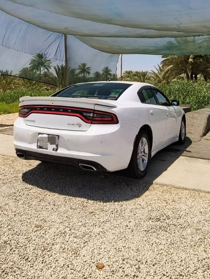 السلام عليكم جارجر sxt 3600 موديل ٢٠١٥
مواصفات تحكمات ستيرن وشفتات ومثبت سرعة كشن سايق كهرباء تبريد قطعتين كامرة وحساس خلفي كير اوتو وعادي تشغيل عن بعد بصمة تشغيل وبصمة ابواب سيارة جاهزة كلشي بيها شغال ولا كلوب مشتغل بالعداد تبريد تدفئة منظومة كاملة نفض تخم تاير وحدادية قبل شهر نفض برمجة مراوح وادفانز وفصله قبل شهر مسويها ترايها من البصرة لأربيل رقم ذي قار مشروع وطني سنويه باسمي تنتهي بشهر ٦ سنة ٢٠٢٨ باي محافظة تتحول مكاني الحلة - البصرة بيهه قطع صبغ سعر ١٤٨ وبيهه مجال للاستفسار اكثر ‏‪***********‬‏
