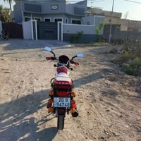 بوكسر • ٢٠٢٣ • سنوية