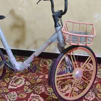 بايسكل • حجم 24 • بصره جمهوريه