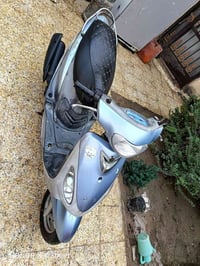 ماكس منغولي • كفالة ما مفتوحة • ديوانية