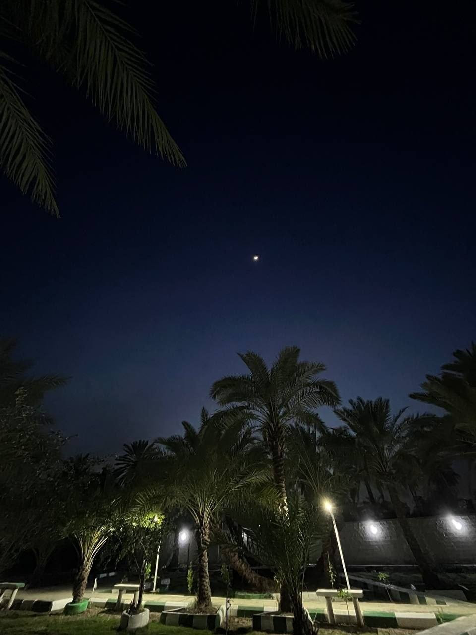 🌴منتجع سياحي مساحة 2450 م الواجهة 70 م🌴
العنوان منطقة السديناوية خلف ثانوية الواثق 
الاستفسار /🌴***********🌴
