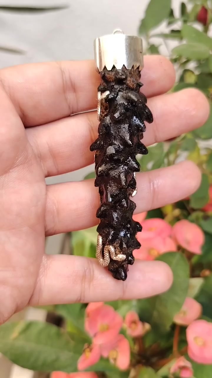 السلام عليكم /عرج سويحلي قنفذي 
مصيوغ فضه الف
يوجد توصيل لجميعً المحافضات
***********واتس
