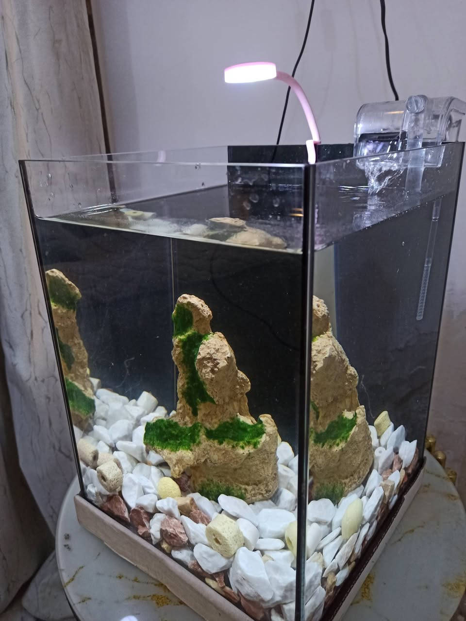 السلام عليكم شباب 
حوض مال سمج. النوع سوبرانتلكلير الجام الواضح 
العرض تقريباً 30سانتيم والرتفاع 35 الحوض متروك صارله هواي 
,كامل مع ملحقاته 
1 الماطور 2الشمعه 3الجبل الحجري 4حجر طبيعي5الاكل 6المعقمات 
 السعر خاص  
***********بي واتساب
