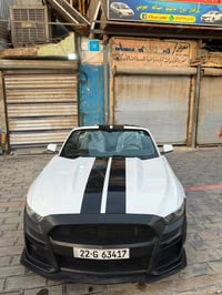 موستانك • ٢٠١٦ • صور حادث