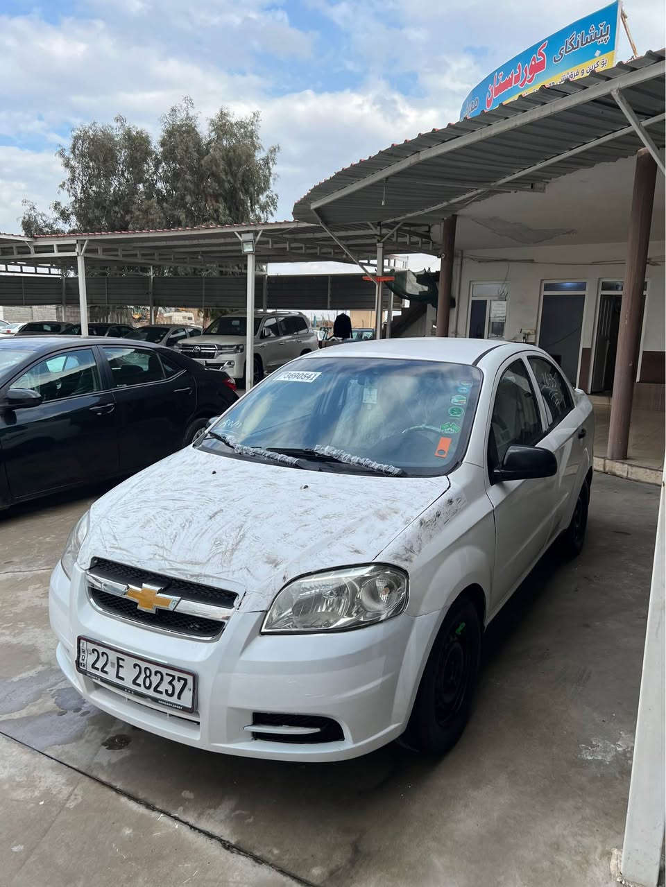 سلام علیکم افیو 2009 مکینە گەورە..0517616384
حزام بی داخل جمپی خفیفی پشتی هەیە بیداخل
رقم سنوی هەزە نویە بەناوی خۆمانە 
تەخم تایە نویە تەقەو ڕەقە بەشەرت 
مکینە گیر بەشەرت 
سعر 49 وەرقە و مجالی برایانە 
شوێن قەزای خەبات✅
ژ.م.*********** أربيل, العراق
