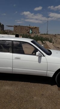 بطة • مكفولة