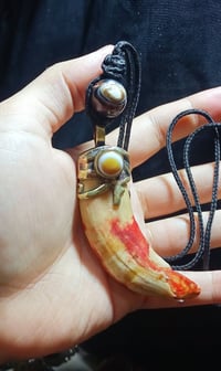 ناب الجمل • تطعيم سليماني • عين صريحة