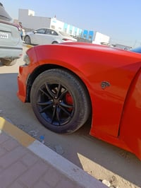 جنوط 18 • جديد • ديوانيه