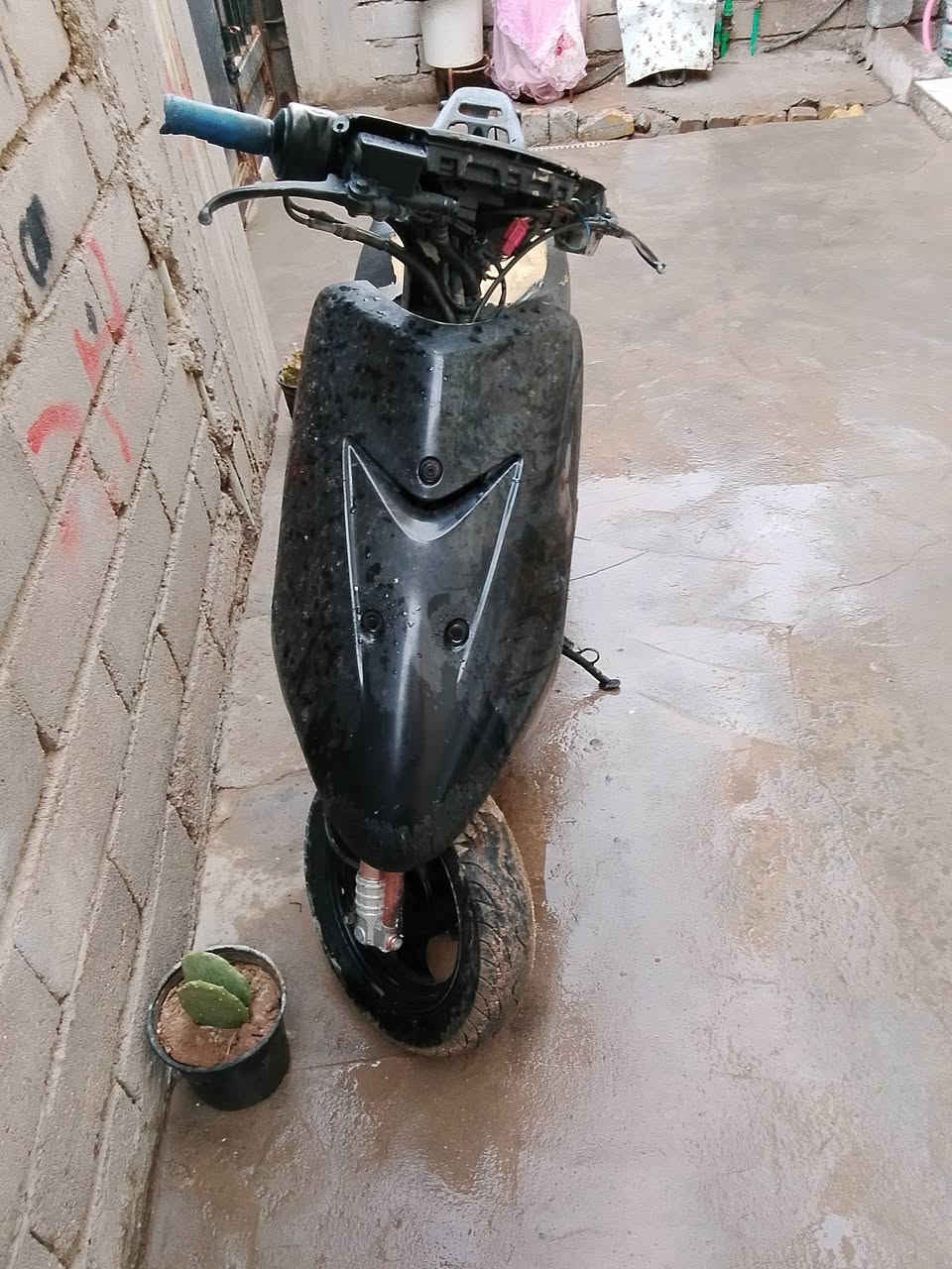 سلام عليكم دراجه عصفوري البيع مكينته ناعمه كهربايات كله شغال***********
