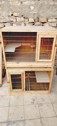 شباب خانتين ام التك شغل جديد خانات كبار سعر الخانه ب35الف بيه مجال حق ...