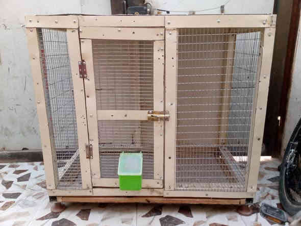 من رخصت ادمن متاح قفص كامل مع حراره ارتفاع ٩٠عرض ١٠٠ نزال ٥٦ اي استفسار عن طريق هاذا  الرقم ***********
