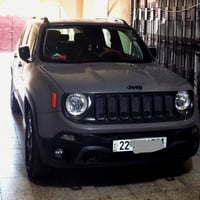 رينيجيد • ٢٠٢٠ • حادث جهة السائق