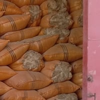 تبن • درجة أولى • ١٢٥×٩٠