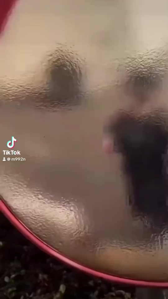 💕سوي متابعة للصفحة 👍اذا مهتم بالملابس  💕

للاستفسار او الطلب مراسلة الصفحة او الرقم ***********
