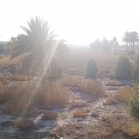 ارض للبيع • دونـم للبيع • ملك صرف • قطعة ارض • الجسر الرابع • ارض على ...