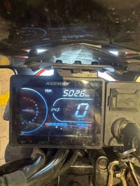 كيوي منكس ١٥٠ • أوراق كاملة • ٥٠٢٦ كم