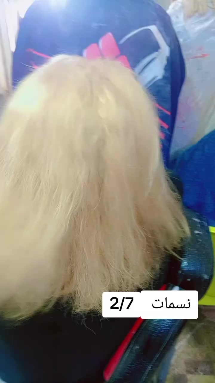 مكان محيزم مقابيل مفرك عنانه


**إذا كنت صاحب هذا الإعلان وتريد حذفه لأي سبب، رجاءا أرسل رسالة إلى الدعم الفني**