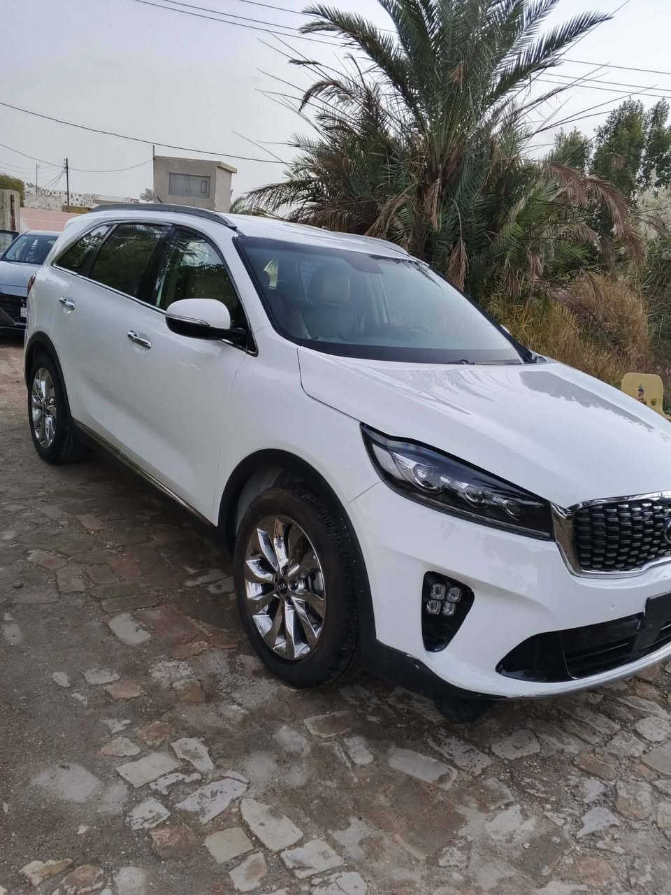 اسلام عليكم سورنتو خليجي موديل ٢٠١٩ رقم بغداد *********** مكلف بلنشر
سورنتو محرك كير صدر حادايه كهربائيات تبريد تدفئه كله وضع شركه فول عده الفتحه ملاحضه صبغ عام العنون دوره حي الاثورين اتصل ودلل السعر ١٨٠ مع مجال
