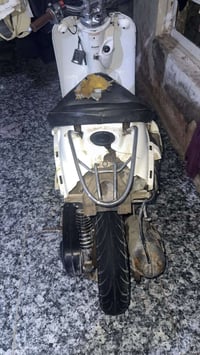 مصرية فحل • ناصرية حي شهداء