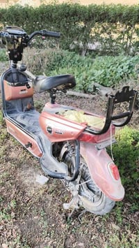 باسكل شحن • حجم ١٤ • بطاريات تعبانه