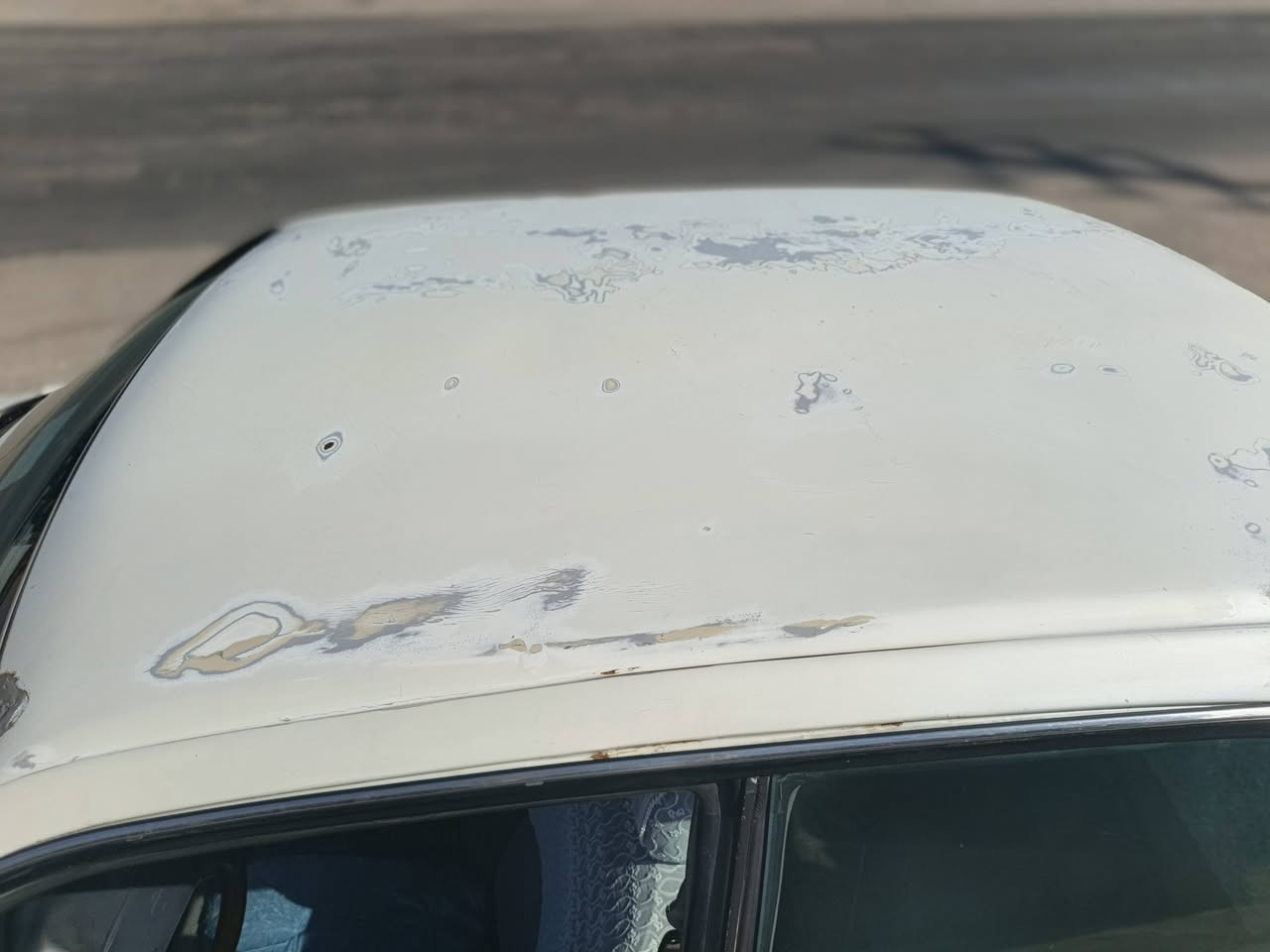 راس الثور للبيع السعر 80وبيه مجال للاستفسار الاتصال ع الرقم ***********
