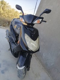 سكنس فحل • ياباني • نقص كور