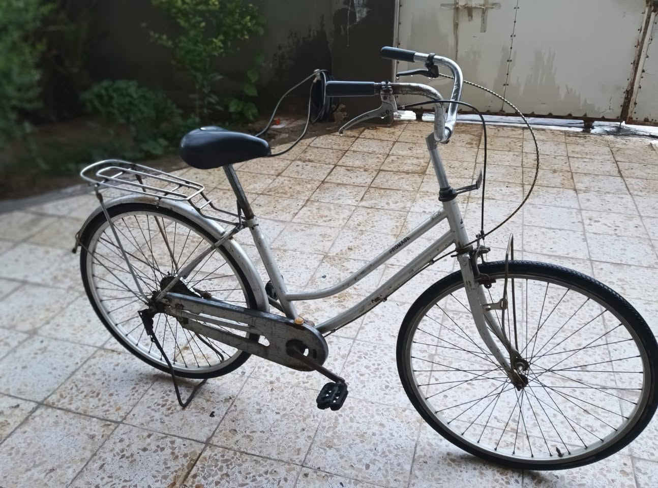 السلام عليكم بايسكل بطة حجم 26 بايسكل نظيف بس نقصة جاملغ امامي مكان البايسكل حلة بكرلي قرب جامع سلمان المحمدي سعر البايسكل 65 وبي مجال الشراي تجي تفحص وتدلل والاتصال والاستفسار على الرقم التالي *********** وبي وتساب
