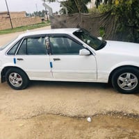 برنس فراشه • ٩٦ • ديالى