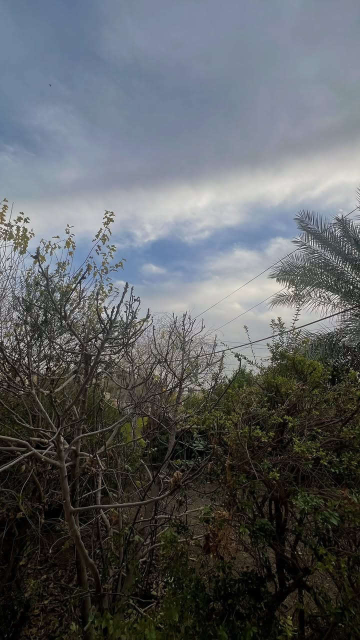 السلام عليكم
بيت للبيع ، المساحة الكلية ٧٥٠ متر

سند البيت : ملك صرف (الجنس بستان)

مساحة البناء ١٢٥ متر ( غرفتان كل وحدة ٥x٤ 
والاستقبال ٤x٦ 
والمطبخ ٤x٥
والصالة ١٠x٣،٥
يحتوي البيت على صحيات داخلية وخارجية
وغرفة في الطابق الثاني)

البيت ركن في منطقة حي الامام ( السواجي) فرع بيت ابو علي وعد الگصاب 
ويحتوي البيت على اشجار ونخيل وحديقة.. كما موضح في الصور ادناه
للأستفسار اكثر يرجى الاتصال على الرقم

***********
