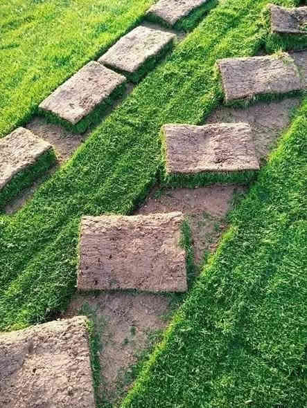 متوفر عدنا كافة انواع الثيل الطبيعي
(الامريكي – الهندي – الايطالي – الفرنسي)

كادر مختص بالتجهيز والزراعة ويخدم كل احتياجاتكم:
للمشاتل 🌴
للدوائر الحكومية 🏦
للمنازل والحدائق 🏡
وللمنتزهات والمشاريع الكبيرة 🏄

وتتوفر خدمة توصيل سريعة لكل محافظات العراق 🚕🚕

للاستفسار والتجهيز تواصلوا معنا، ونضمن لكم افضل نوعية وثيل درجة اولى وبسعر مناسب.

 ***********
***********
