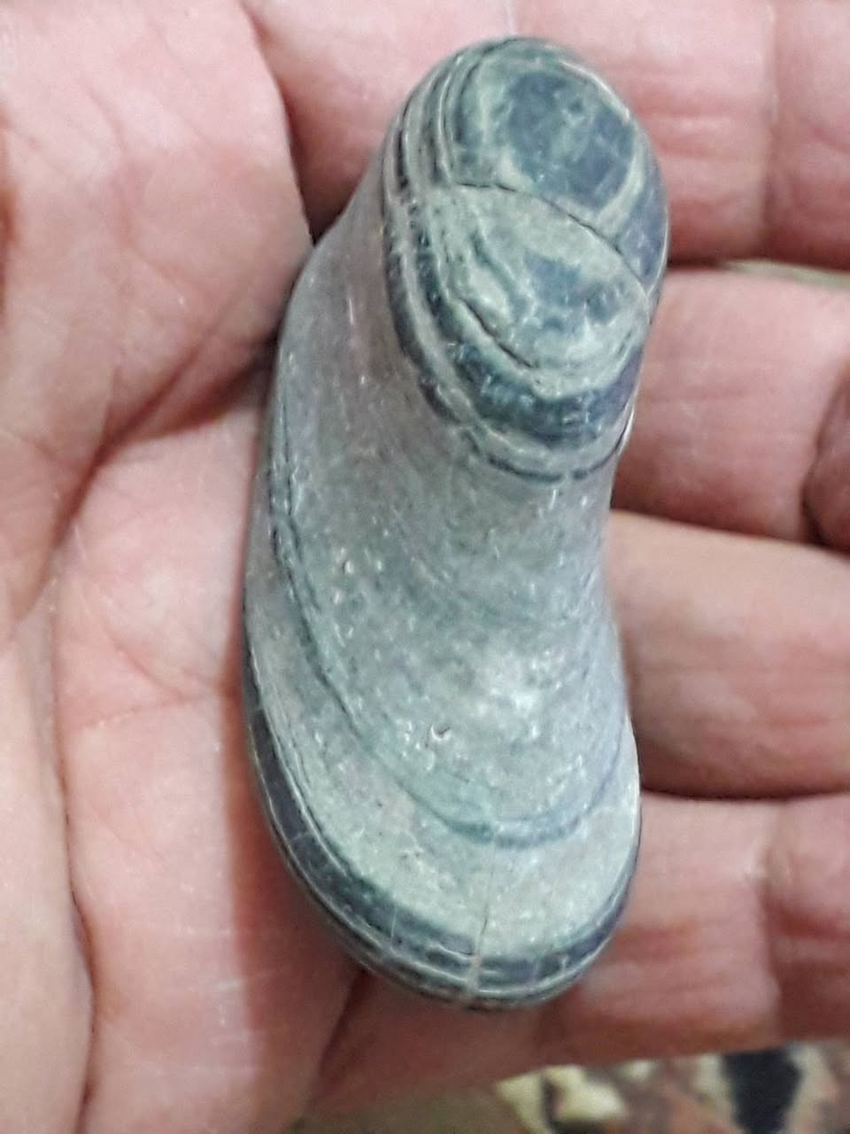 للعرض


**إذا كنت صاحب هذا الإعلان وتريد حذفه لأي سبب، رجاءا أرسل رسالة إلى الدعم الفني**