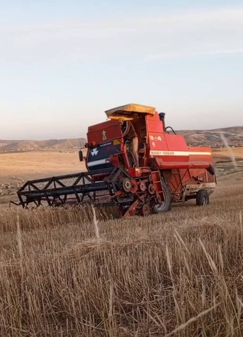 السلام عليكم البيع حاصده فوركسن موديل    89معمره كامل جاهزه السعر 70 مكان موصل الستفسار ***********🖐***********
