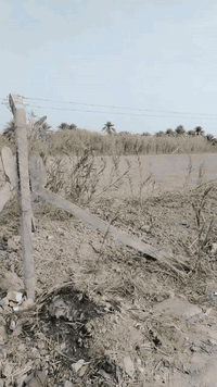 ارض مساحه دونم نزال مالته60ب40 طابو زراعي25 فلاح ملاج
الموقع: قرب المفرگ مقابيل مركز شرطة السلام عامود ٤٥٤ تقريباً تبعد عن شارع بغداد ١٥٠ متر تقريباً أو اقل .... موقعها مرتب أمامها الإروائي وجانبها البزل خدمات كاملة والأرض مسيجة نظيفة السعر ٨٠ مليون وبيها مجال
للتواصل: ***********
