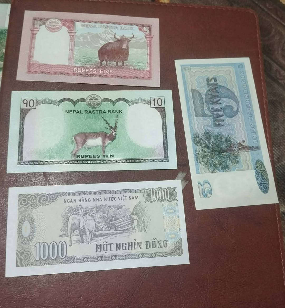 8 قطع منوع سعر 10 الف


**إذا كنت صاحب هذا الإعلان وتريد حذفه لأي سبب، رجاءا أرسل رسالة إلى الدعم الفني**