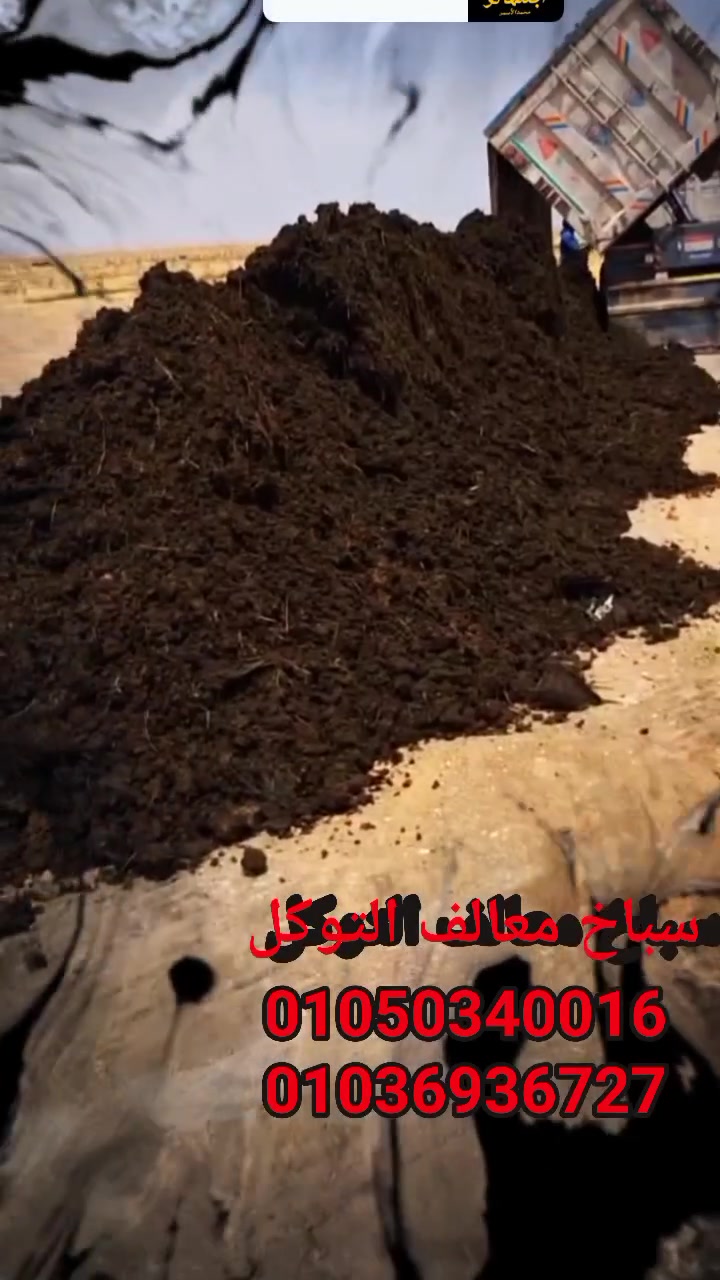 سباخ #التوكل صافي بيور، خالي من بذور الحشائش والأمراض 
أرضك أمانة.. والزرع الطيب يحتاج أساس قوي! 🌱
سباخ بلدي طبيعي 100% 
✅ جودة عالية: سباخ بلدي طبيعي ومضمون.
✅ خدمة التوصيل: نوصلك لحد أرضك، توصيل لأي مكان 
📞 للطلب والاستفسار، تواصل 
01050340016
01036936727
سباخ بلدي  التوكل  للأسمدة العضوية.. خير الأرض لأرضك.
#التوكل  #أسمدة_عضوية #سباخ_بلدي  #توصيل_لأي_مكان
#واتس01050340016
#وصال01036936727


**إذا كنت صاحب هذا الإعلان وتريد حذفه لأي سبب، رجاءا أرسل رسالة إلى الدعم الفني**