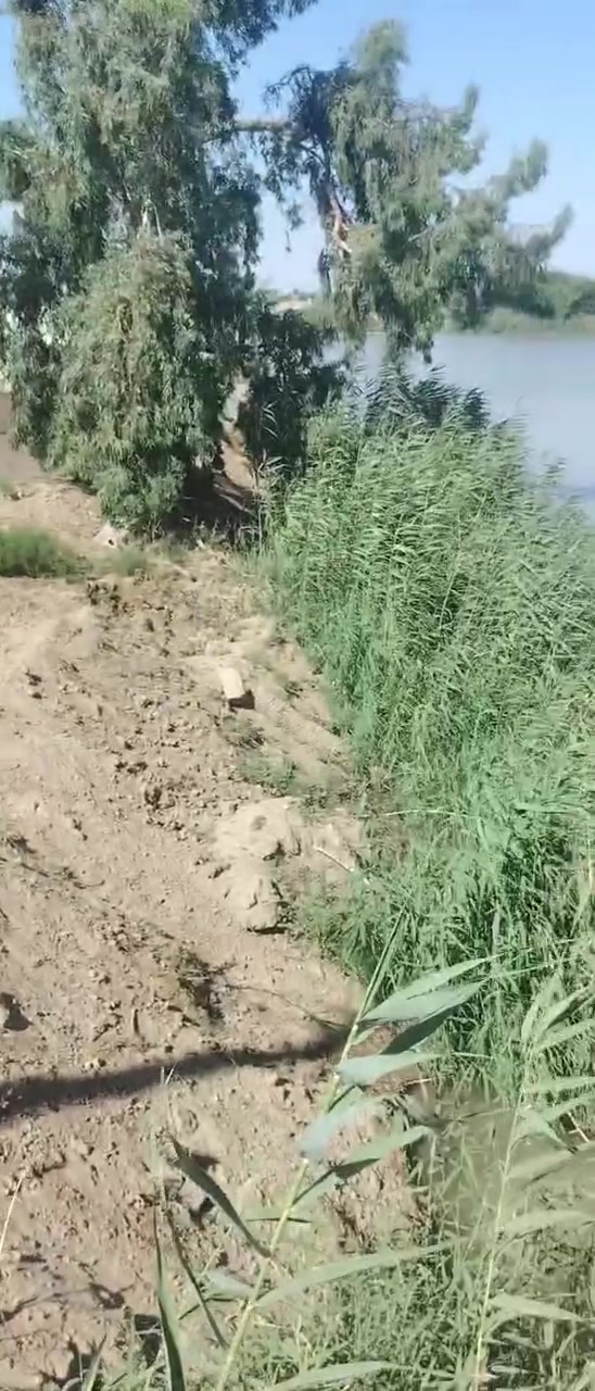 بسم الله الرحمن الرحيم السلام عليكم ورحمة الله وبركاته
اعلان عن بيع أرض طابو زراعي المساحه ٢ دونم على النهر مباشر باسم شخص واحد وجه الأرض على النهر ٢٨ متر
قريبة على جسر تفاحة تبعد عن الفلوجة ١٠ دقايق ترهم مزرعة متكامة محدولة ومرتبة الأرض كما موضح في التصوير وقربها عدة مزارع وسعرها جدا مناسب بالنسبة للاراضي المجاورة للانهر 
للاستفسار الاتصال على الأرقام التالية
***********
***********
*********** كلها فيها واتساب اخوكم الحاج محمد النوري
