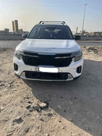 سنيتوس • ٢٠٢٤ • للبيع