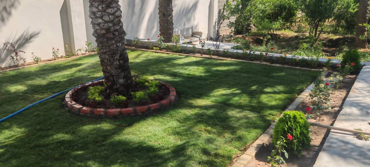 تصميم بسيط ولمسات أجمل.  حديقه ١٥٠ متر. ثيل سباني. ورود دائمة تزهير  صيف شته دقة بتعديل وتسويه    كادر مشتل محمد. يتهنه بيه كاك محمود أبو كاني ***********
