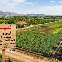 ارض للبيع • قطعة ارض • دونم للبيع • بغداد ابو غريب • طابو سند 25 • ارا...