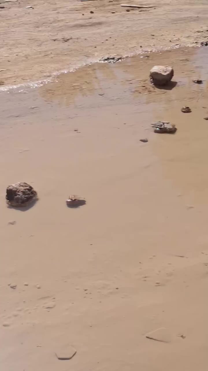 سلام عليكم في كربلاء المساحه 1100متر
طابوزراعي سند25تحويل اسهم مراوس هم ترهم
***********
***********
