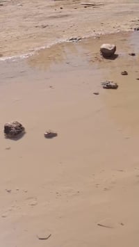 كربلاء • ١١٠٠م • طابو زراعي