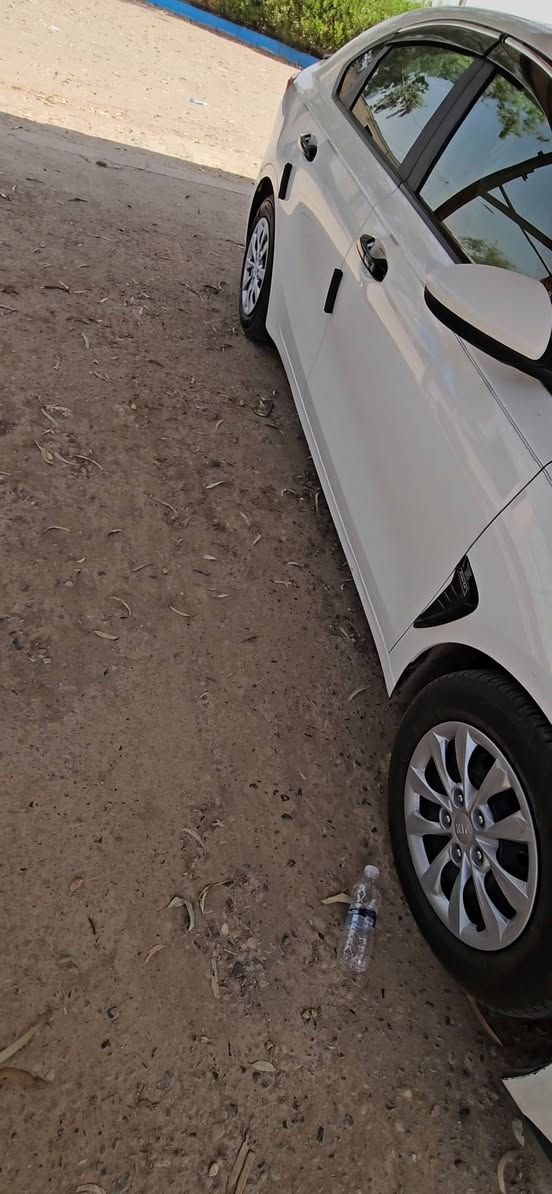 فورتي 21 معوقين انبار باقيلها 8 اشهر تصير حره للبيع اومراوس حسب القناعه ***********
